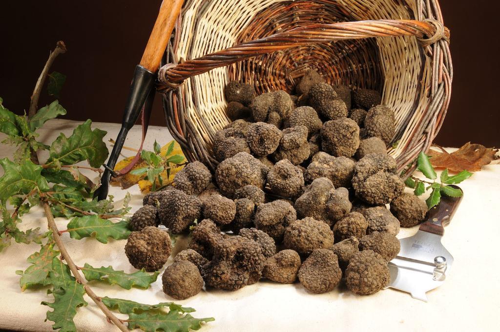 Albergo Ristorante Mancinelli Fossombrone Εξωτερικό φωτογραφία